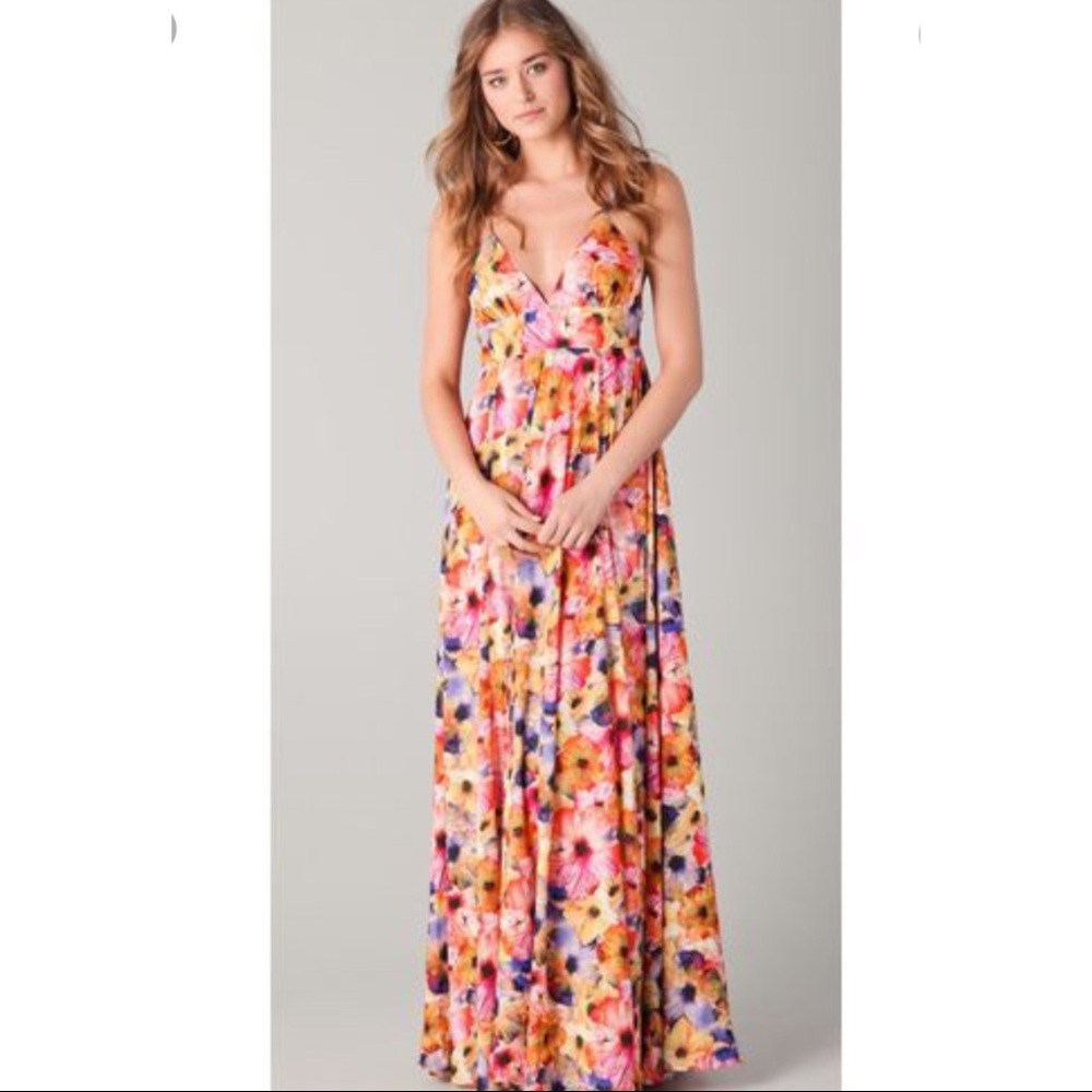 Dallin Chase Floral Maxi Dress Size M